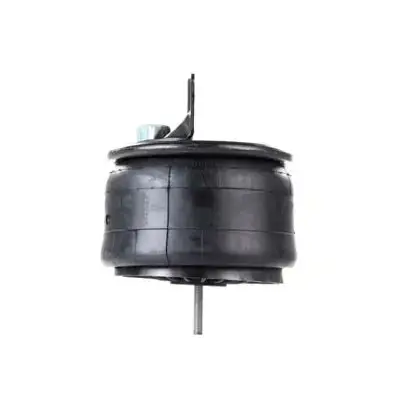 AIR SPRING [559541-KP]