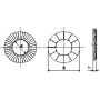 3/8 DUAL LOCK WASHER