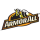 ARMORALL PRODUCTS